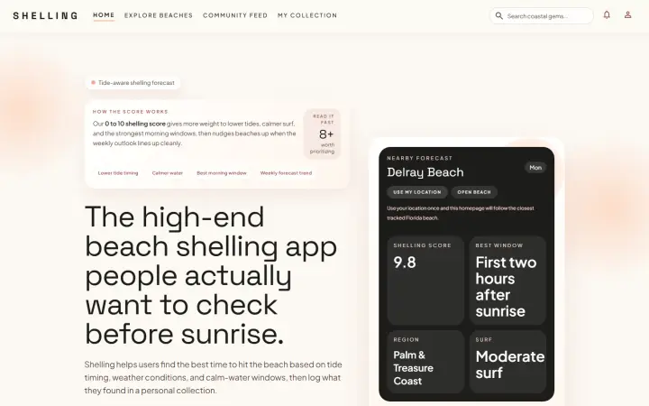 Shelling project screenshot